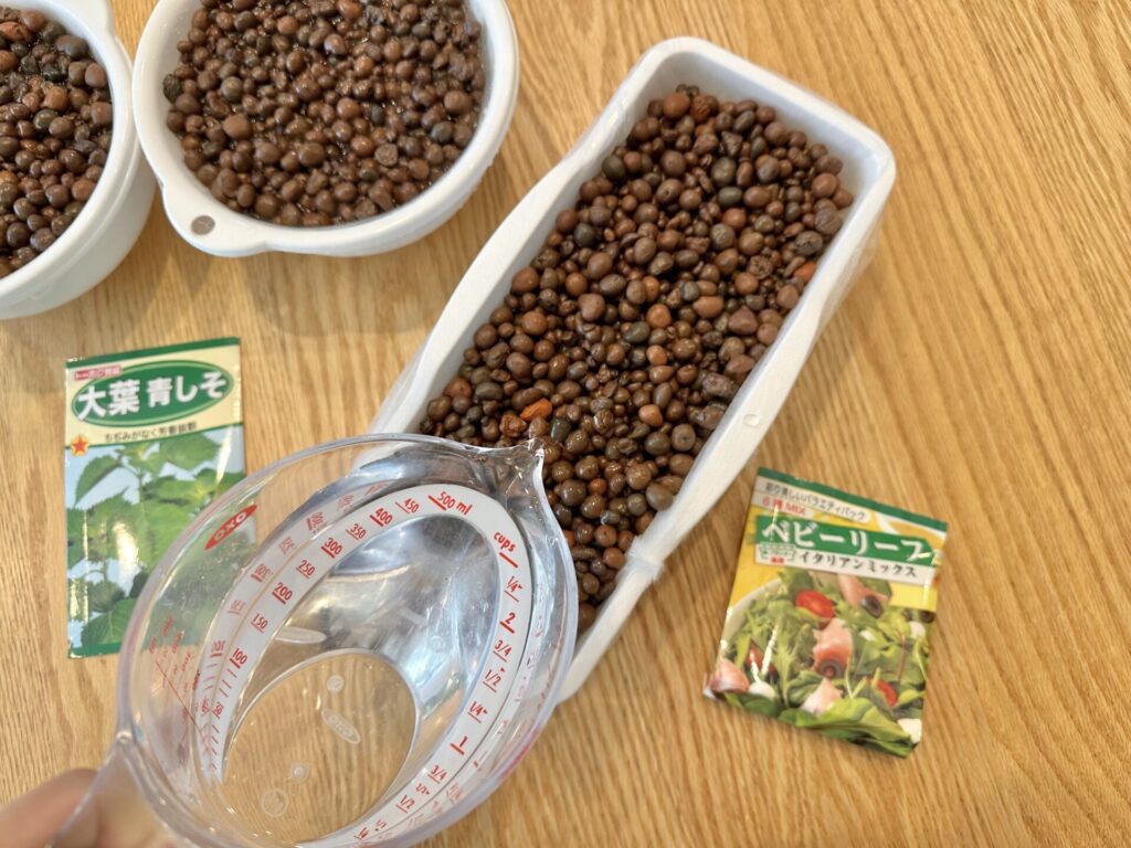 水耕栽培の準備