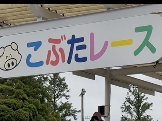 マザー牧場 こぶたのレース
