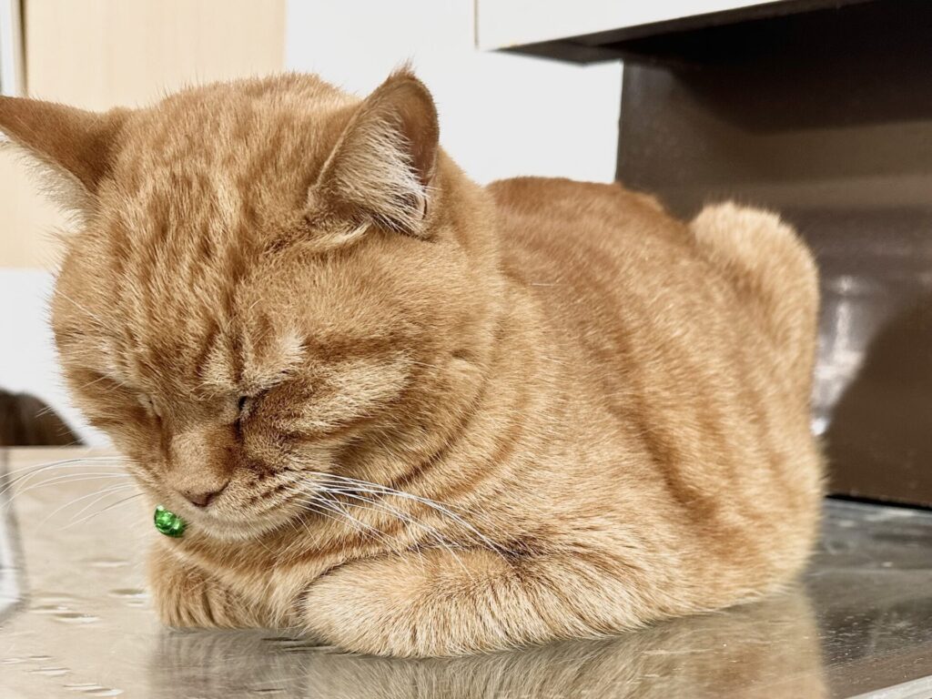 猫背のイメージ