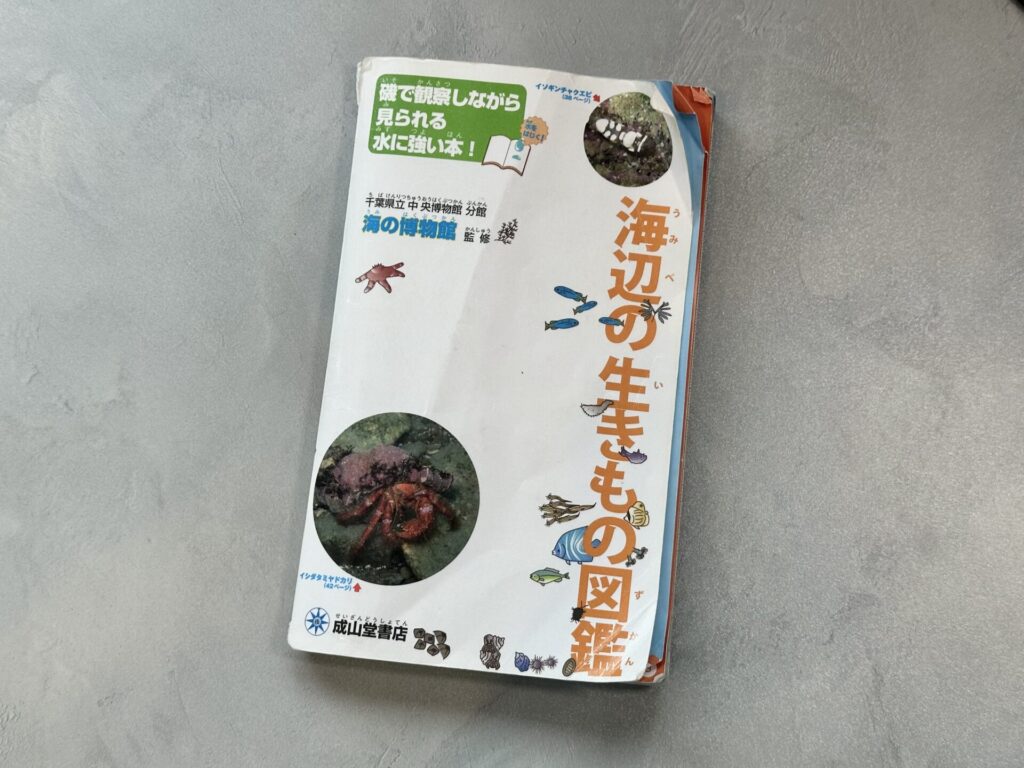 海辺の生きもの図鑑の表紙