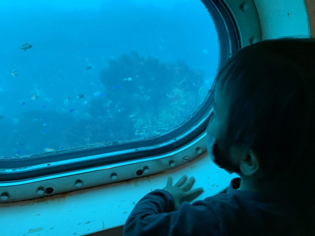 海中展望室からの眺め